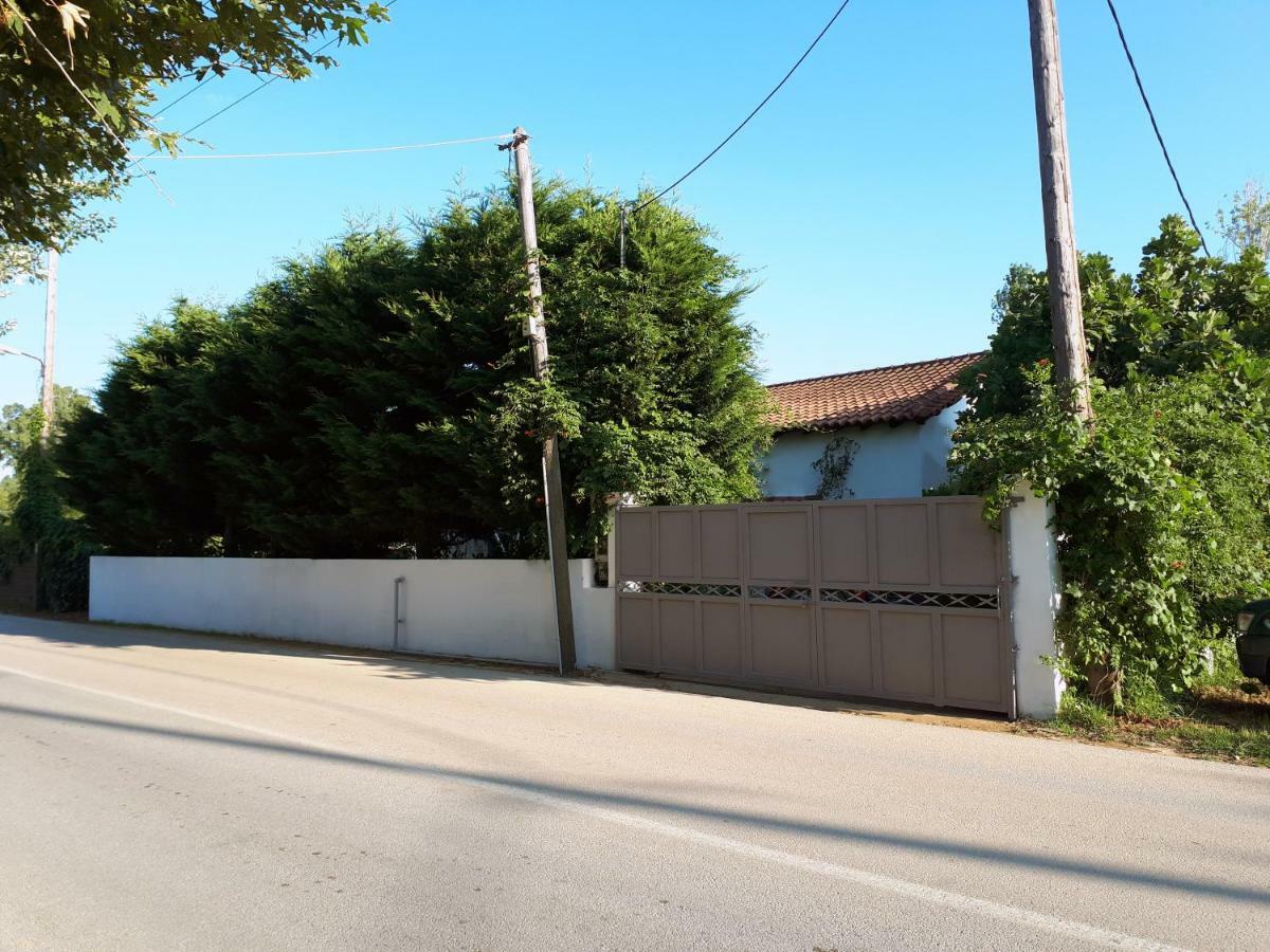 Ckiathi - Ckiaθi - Ps Rental Agia Paraskevi  Exteriör bild