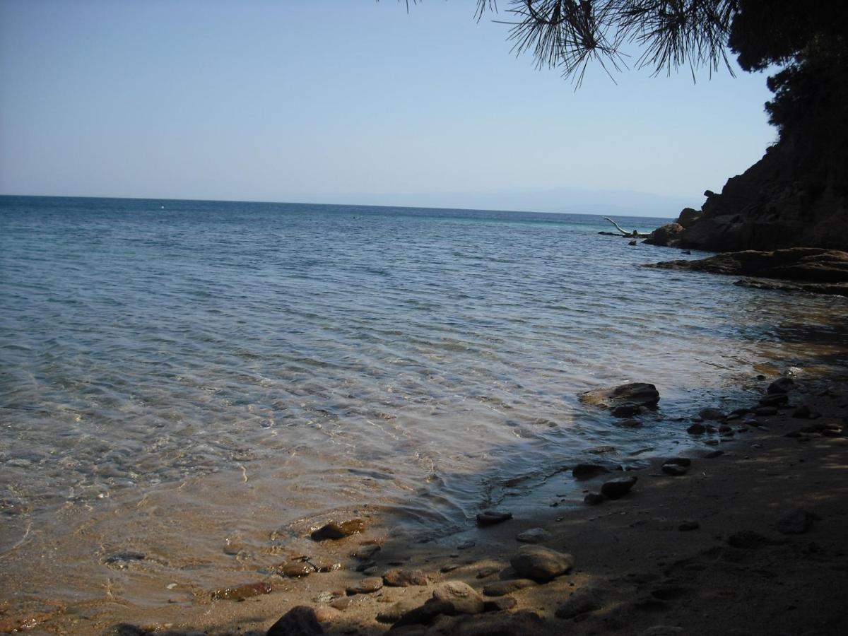 Ckiathi - Ckiaθi - Ps Rental Agia Paraskevi  Exteriör bild